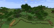 Forest biomes have a 1/11 chance of being generated